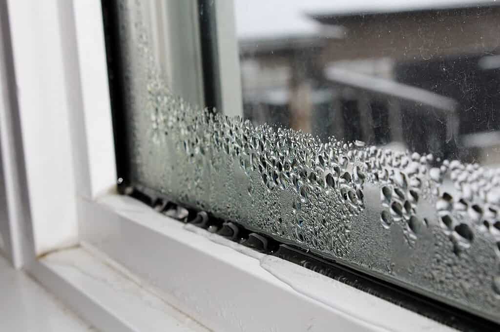how to get rid of condensation inside double glazed windows